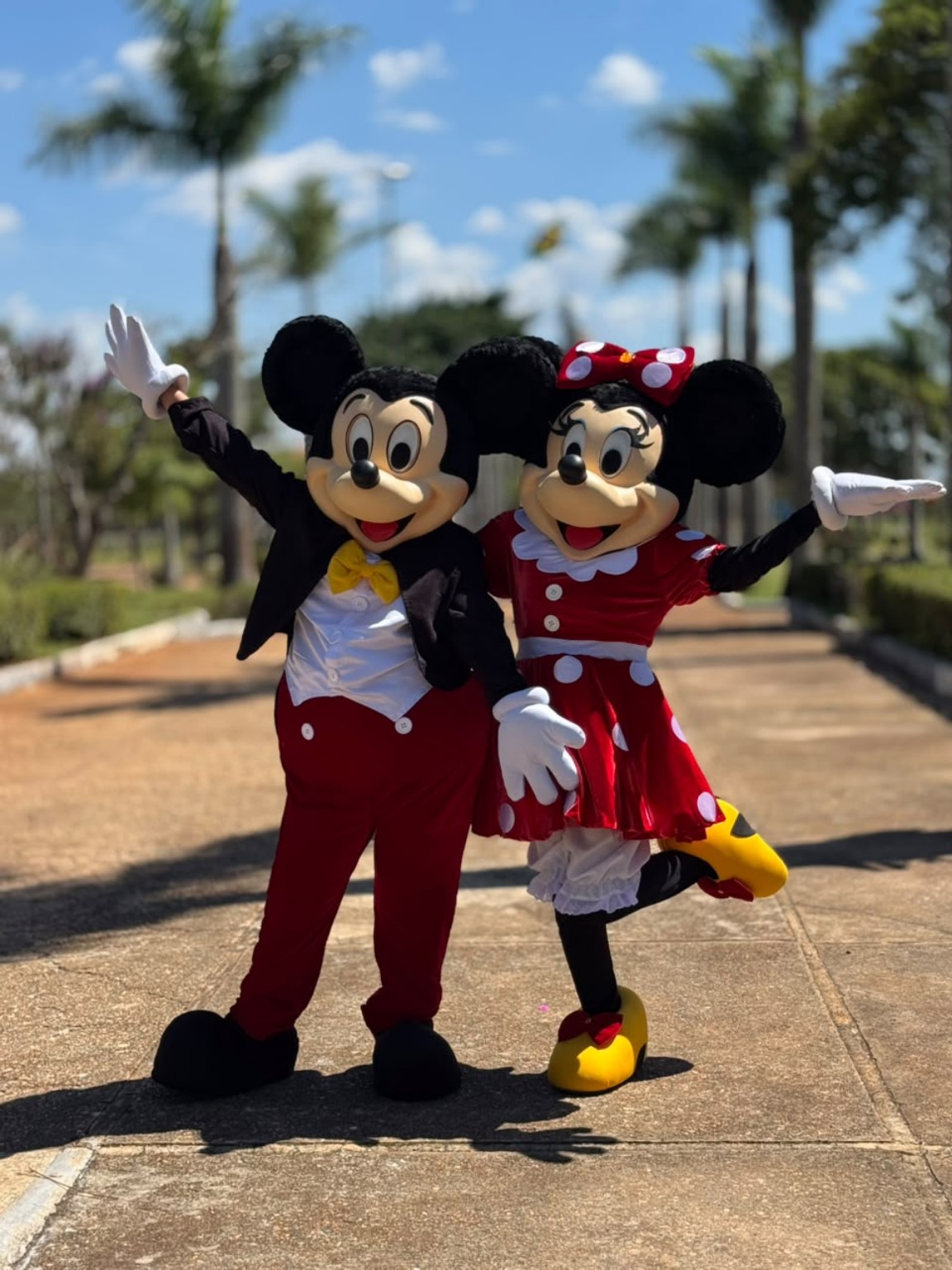 Mickey e Minnie em festa